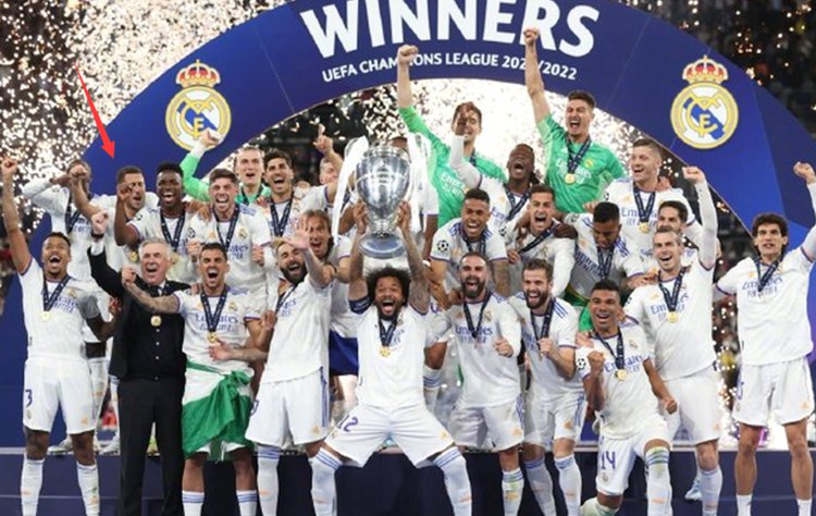 会引起包括 会引起包括